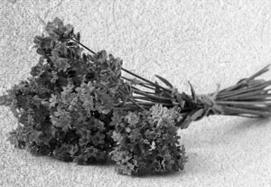 Иллюстрация к книге — Советское домоводство [i_020.jpg]