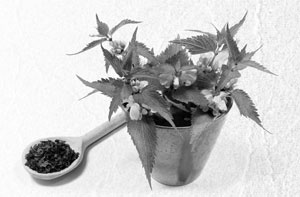 Иллюстрация к книге — Советское домоводство [i_025.jpg]