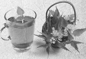 Иллюстрация к книге — Советское домоводство [i_026.jpg]