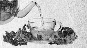 Иллюстрация к книге — Советское домоводство [i_033.jpg]