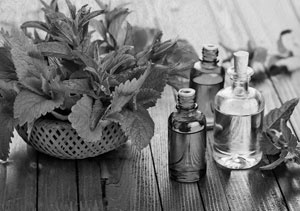 Иллюстрация к книге — Советское домоводство [i_036.jpg]