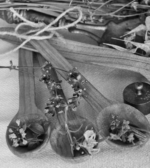 Иллюстрация к книге — Советское домоводство [i_037.jpg]