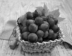 Иллюстрация к книге — Советское домоводство [i_047.jpg]