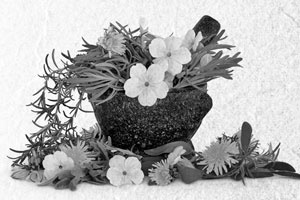 Иллюстрация к книге — Советское домоводство [i_053.jpg]