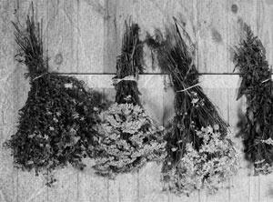 Иллюстрация к книге — Советское домоводство [i_054.jpg]