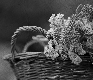 Иллюстрация к книге — Советское домоводство [i_056.jpg]