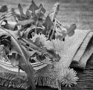 Иллюстрация к книге — Советское домоводство [i_067.jpg]