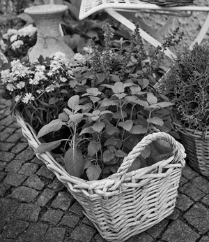 Иллюстрация к книге — Советское домоводство [i_069.jpg]