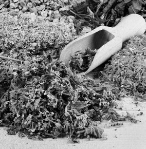 Иллюстрация к книге — Советское домоводство [i_071.jpg]