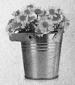 Иллюстрация к книге — Советское домоводство [i_086.jpg]