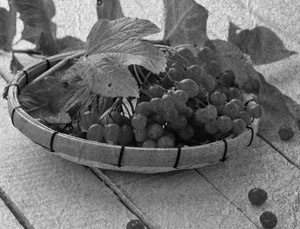 Иллюстрация к книге — Советское домоводство [i_089.jpg]