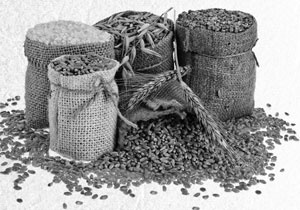 Иллюстрация к книге — Советское домоводство [i_090.jpg]