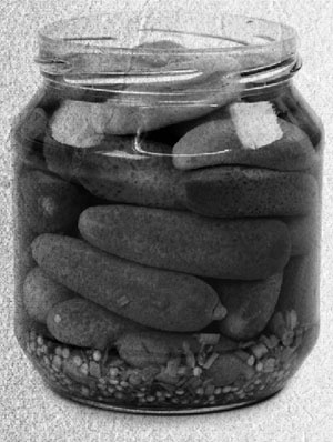 Иллюстрация к книге — Советское домоводство [i_105.jpg]