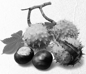 Иллюстрация к книге — Советское домоводство [i_110.jpg]