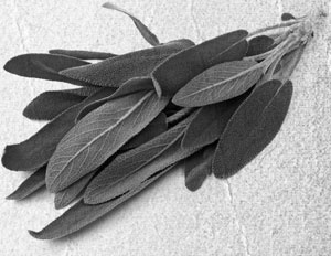 Иллюстрация к книге — Советское домоводство [i_113.jpg]