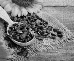 Иллюстрация к книге — Советское домоводство [i_125.jpg]