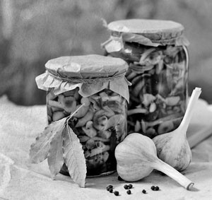 Иллюстрация к книге — Советское домоводство [i_126.jpg]