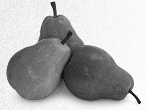 Иллюстрация к книге — Советское домоводство [i_129.jpg]