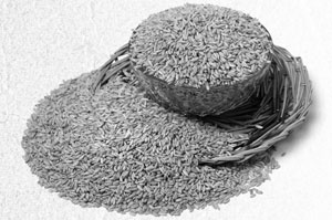 Иллюстрация к книге — Советское домоводство [i_142.jpg]