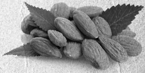 Иллюстрация к книге — Советское домоводство [i_150.jpg]