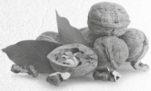 Иллюстрация к книге — Советское домоводство [i_160.jpg]