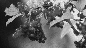 Иллюстрация к книге — Советское домоводство [i_165.jpg]