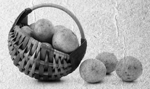 Иллюстрация к книге — Советское домоводство [i_168.jpg]