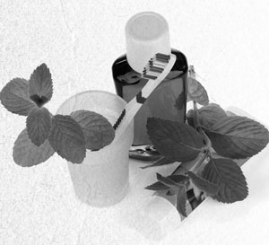 Иллюстрация к книге — Советское домоводство [i_173.jpg]