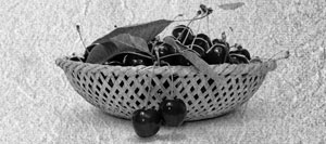 Иллюстрация к книге — Советское домоводство [i_174.jpg]