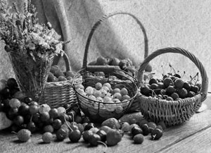 Иллюстрация к книге — Советское домоводство [i_184.jpg]