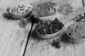 Иллюстрация к книге — Советское домоводство [i_187.jpg]