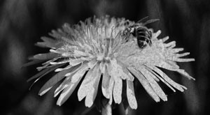 Иллюстрация к книге — Советское домоводство [i_192.jpg]