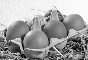 Иллюстрация к книге — Советское домоводство [i_193.jpg]