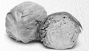 Иллюстрация к книге — Советское домоводство [i_195.jpg]