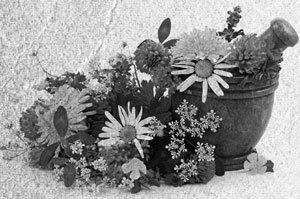 Иллюстрация к книге — Советское домоводство [i_198.jpg]