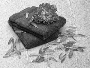 Иллюстрация к книге — Советское домоводство [i_200.jpg]