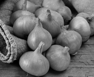 Иллюстрация к книге — Советское домоводство [i_201.jpg]