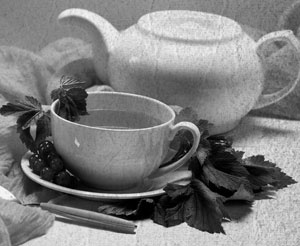 Иллюстрация к книге — Советское домоводство [i_206.jpg]