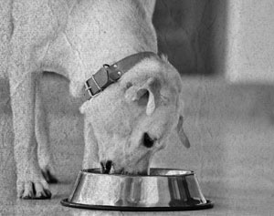 Иллюстрация к книге — Советское домоводство [i_226.jpg]