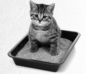 Иллюстрация к книге — Советское домоводство [i_230.jpg]