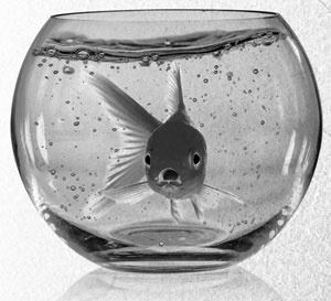 Иллюстрация к книге — Советское домоводство [i_238.jpg]