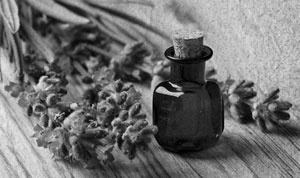 Иллюстрация к книге — Советское домоводство [i_250.jpg]