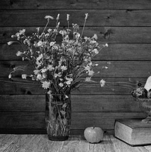 Иллюстрация к книге — Советское домоводство [i_273.jpg]