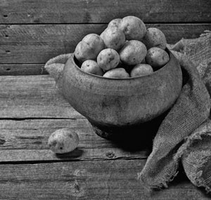 Иллюстрация к книге — Советское домоводство [i_279.jpg]