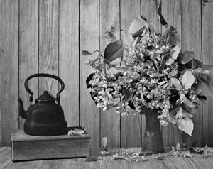 Иллюстрация к книге — Советское домоводство [i_280.jpg]