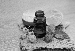 Иллюстрация к книге — Советское домоводство [i_287.jpg]