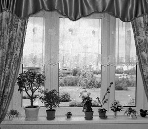 Иллюстрация к книге — Советское домоводство [i_295.jpg]