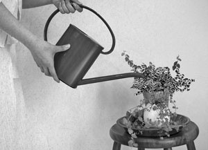 Иллюстрация к книге — Советское домоводство [i_297.jpg]