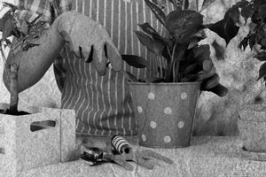 Иллюстрация к книге — Советское домоводство [i_300.jpg]