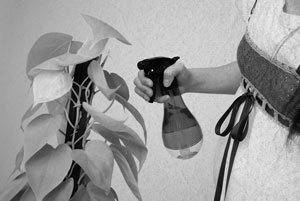 Иллюстрация к книге — Советское домоводство [i_301.jpg]